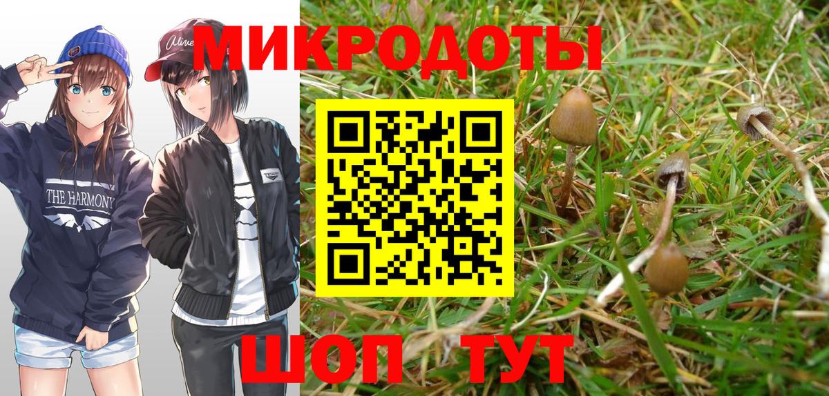 Псилоцибиновые грибы MAGIC MUSHROOMS  дарнет шоп  Саяногорск  Вход с VPN 